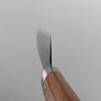 Masahiro special carbon funayuki 180mm - Zahocho Japanese Knives