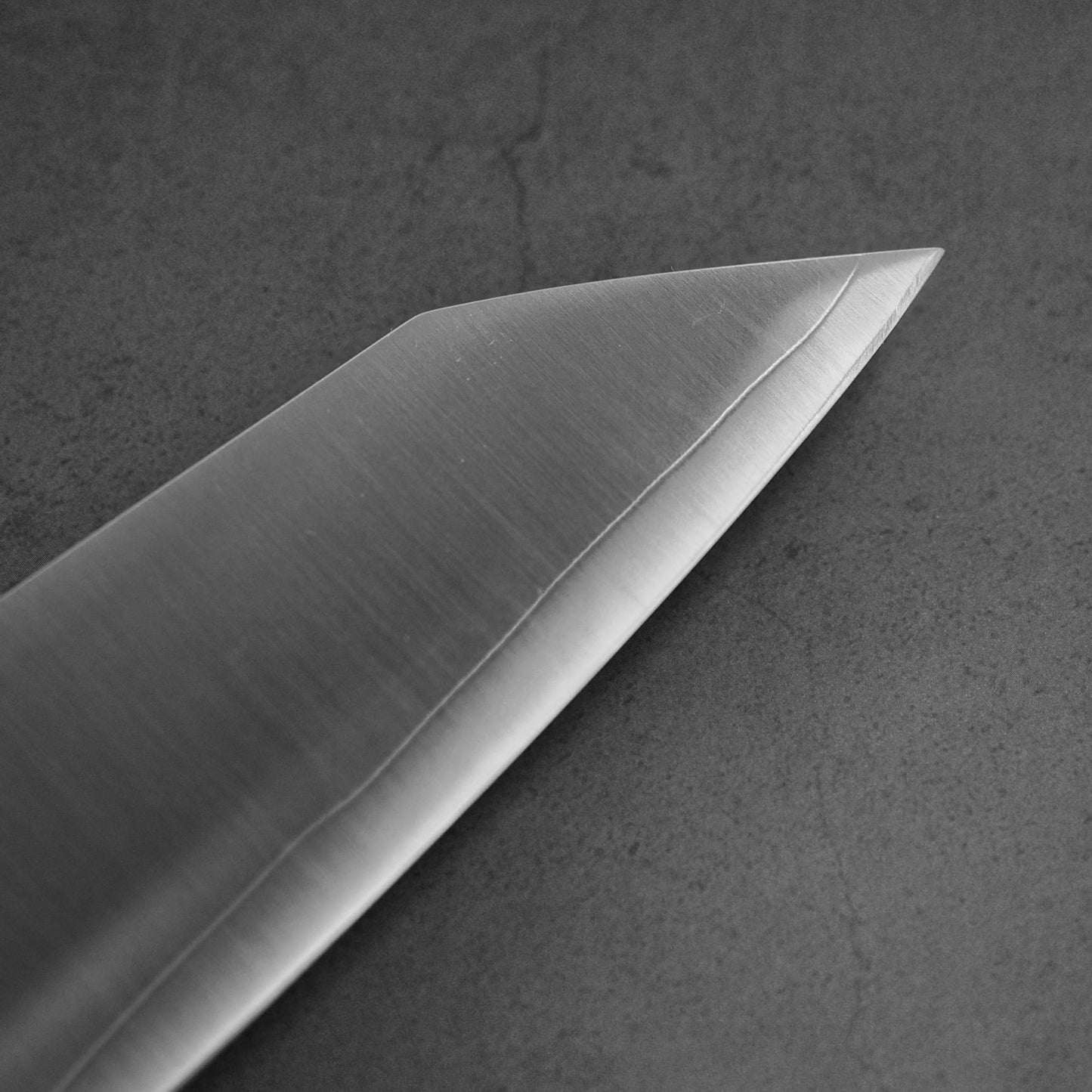 Sukenari Hap40 210mm kiritsuke gyuto (custom handle with saya)