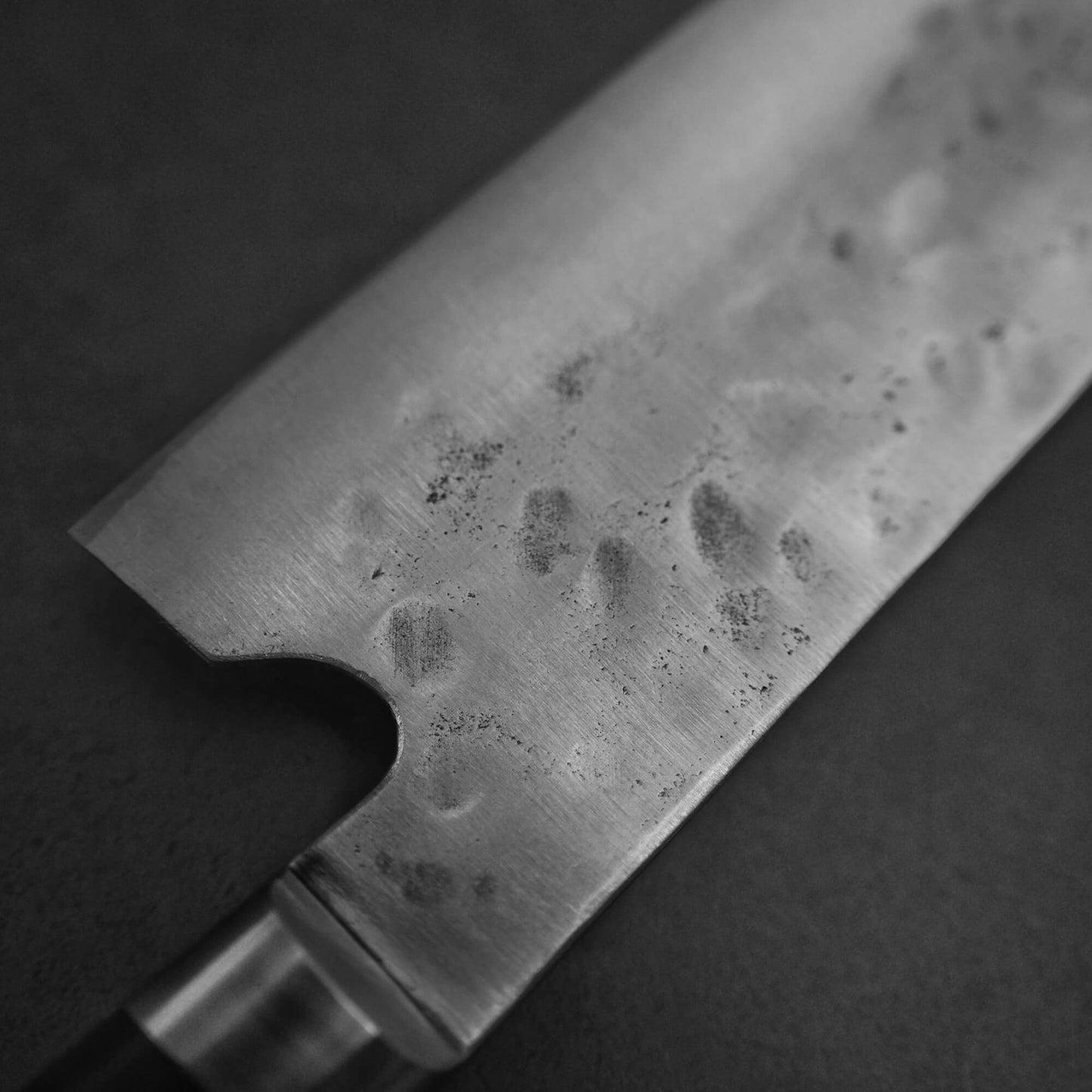 Teruyasu Fujiwara Maboroshi shirogami#1 gyuto 210mm