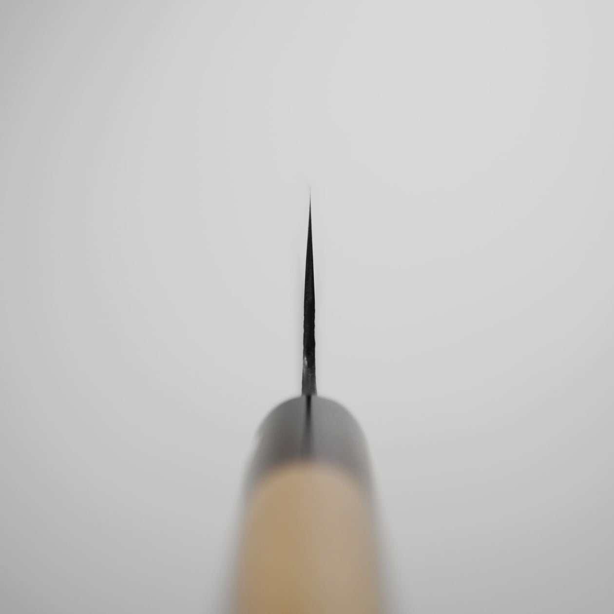 Close-up of the tip of a Hinoura kurouchi shirogami #2 210mm gyuto, viewed from the front so its sharp carbon steel blade forms a narrow vertical line against a plain light background; part of the handle is visible at the bottom.