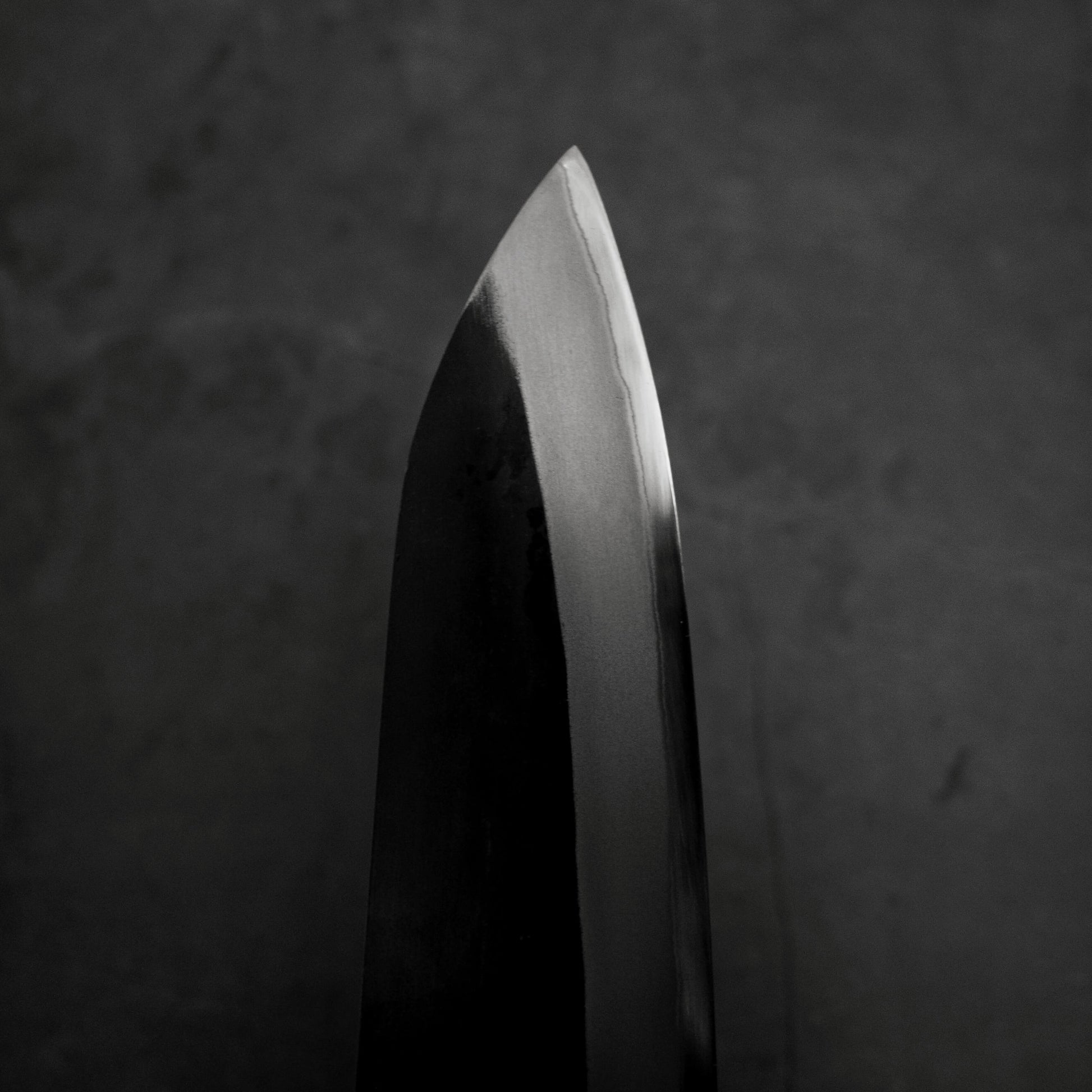 Toyama kurouchi aogami#2 gyuto 210mm - Zahocho Japanese Knives