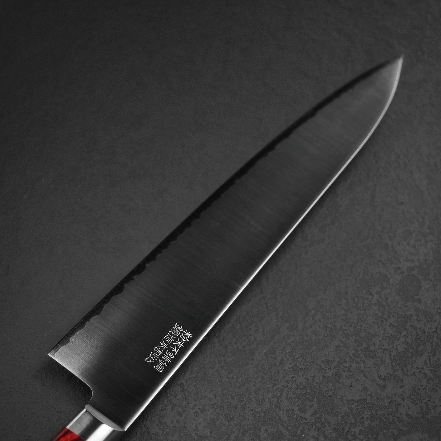 Takamura migaki SG2 gyuto 210mm