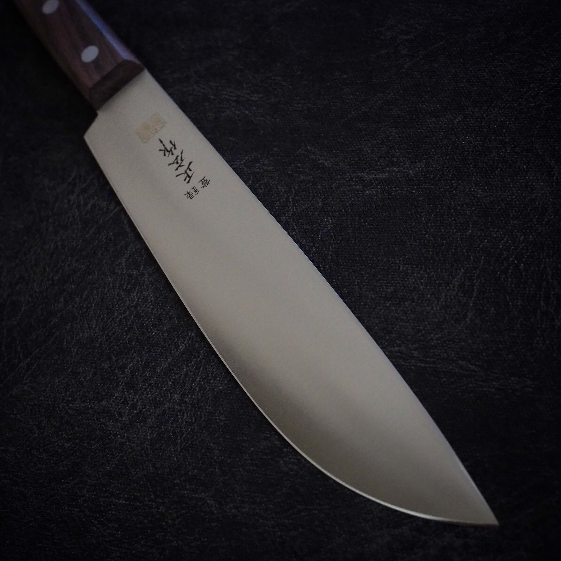 Masahiro MBS26 235mm fish knife - Zahocho Japanese Knives